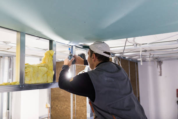 Types of Insulation We Offer in Los Fresnos, TX