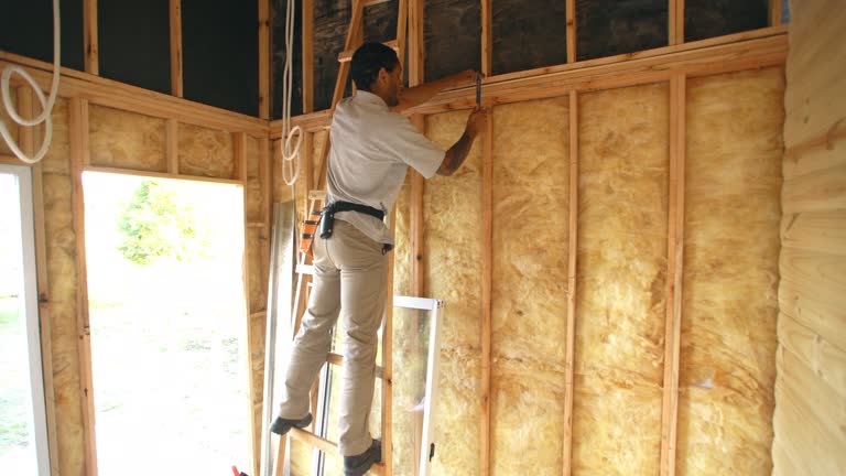 Los Fresnos, TX Insulation Company